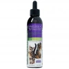 UROMASTIX
