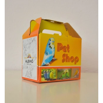 CANS RENKLİ KÜÇÜK BOX