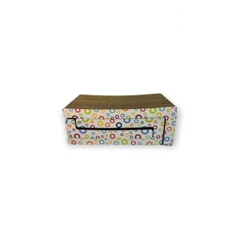 CANS RENKLİ ORTA BOY BOX