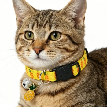 KEDİ ANANASLI TASMA