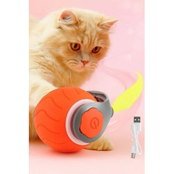 KEDİ ŞARZLI TOP OYUNCAK