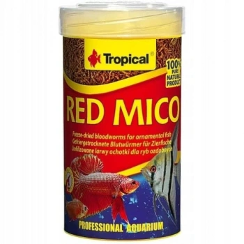 TROPICAL RED MICO(KAN KURDU)