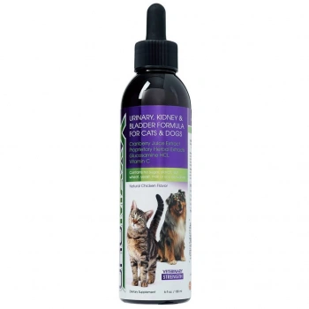 UROMASTIX