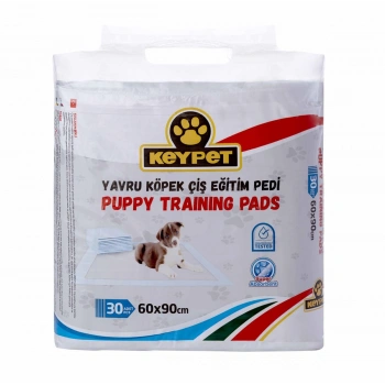 YAVRU KÖPEK EĞİTİM PEDİ