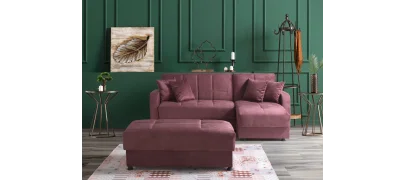 Lion Köşe Takımı