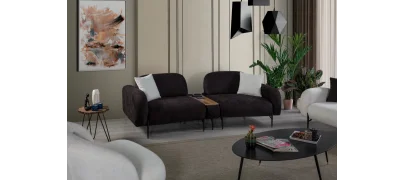 Point Koltuk Takımı