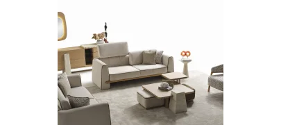 Angel koltuk takımı