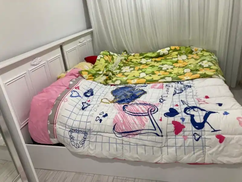 Şemsettin Bey Gerede