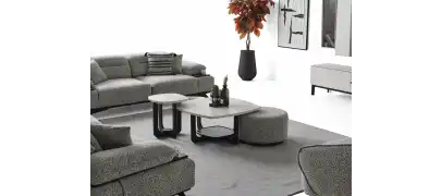 Ashley koltuk takımı