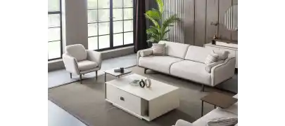 Orjin Koltuk Takımı