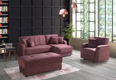 Lion Köşe Takımı