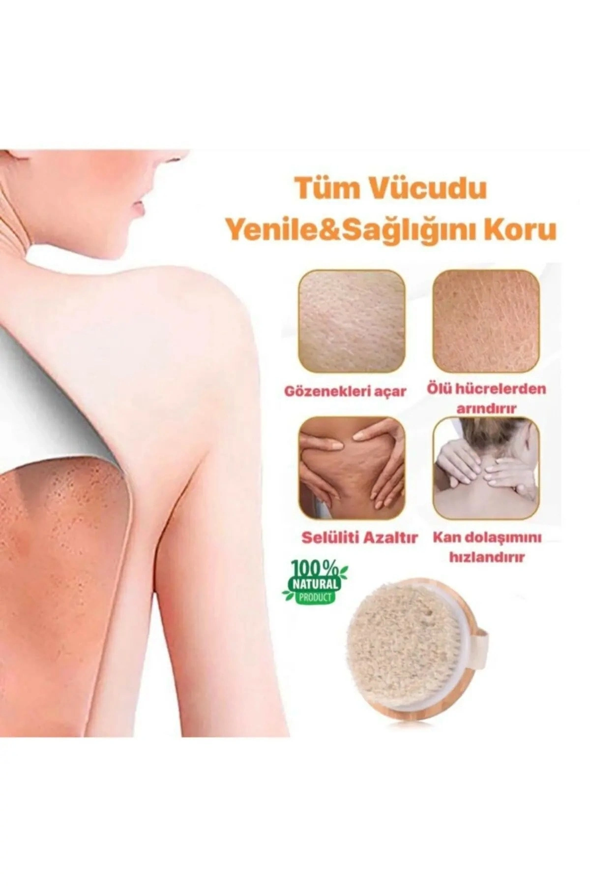 Doğal At Kılı Selülit Fırçası Oval %100