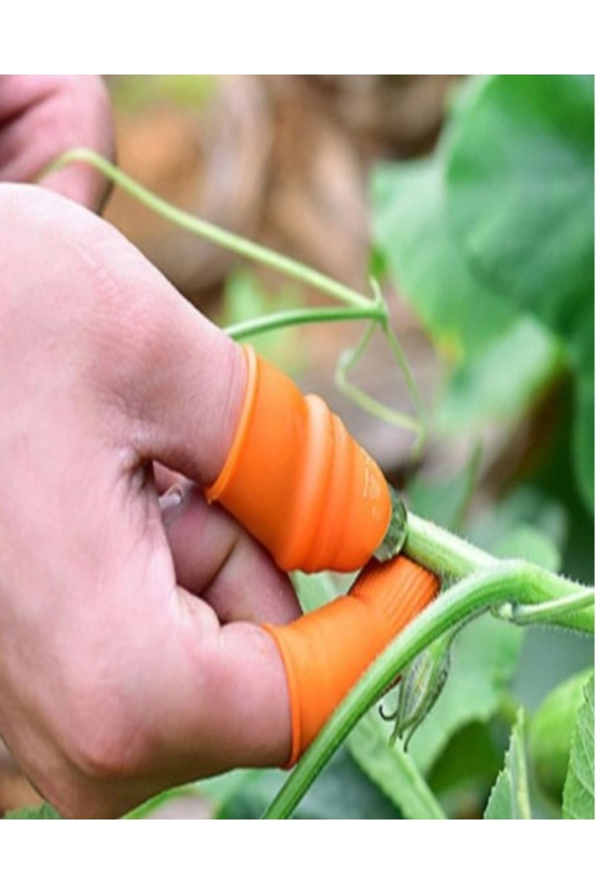 Silikon Parmak Koruyucu Sebze Meyve Toplama Aracı Bahçe Kesme Bıçak Eldiven M