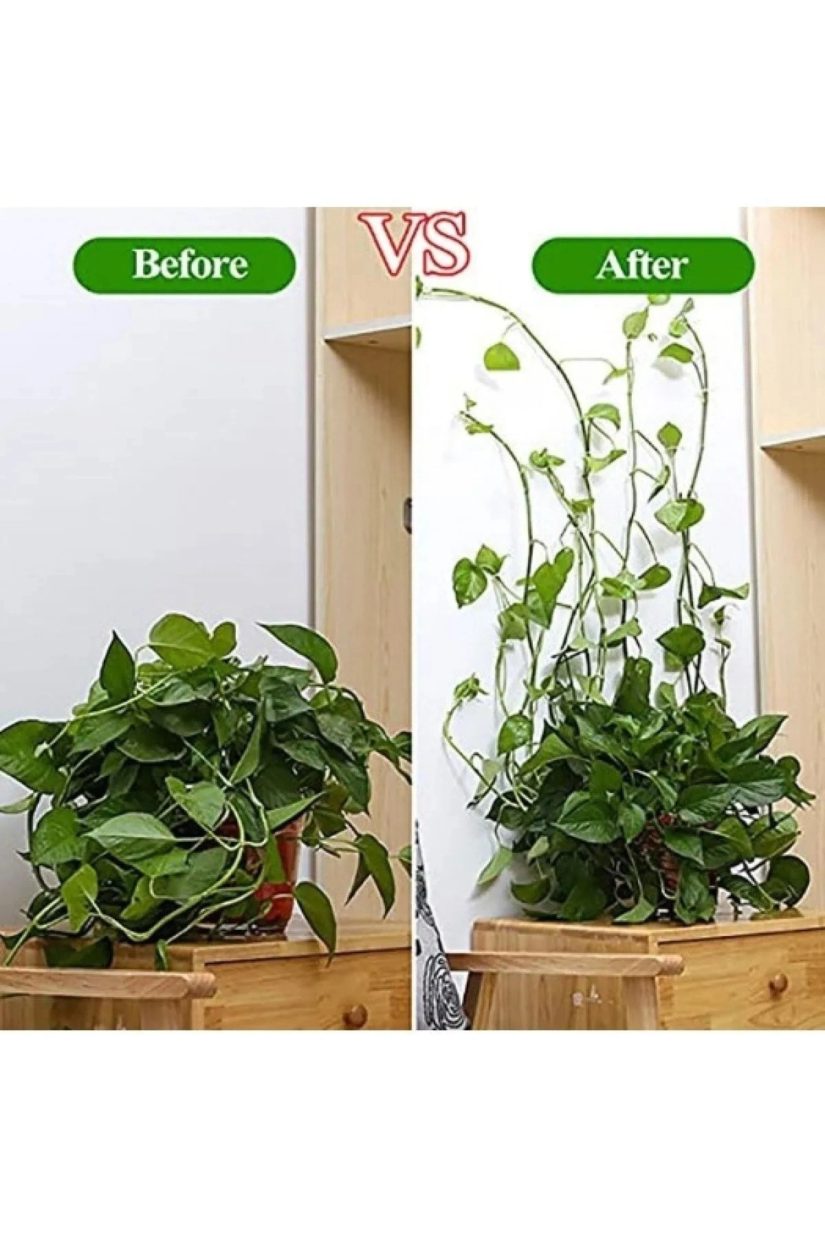 Sarmaşık ve Kablo Düzenleyici Çok Amaçlı Klips 10 Adet