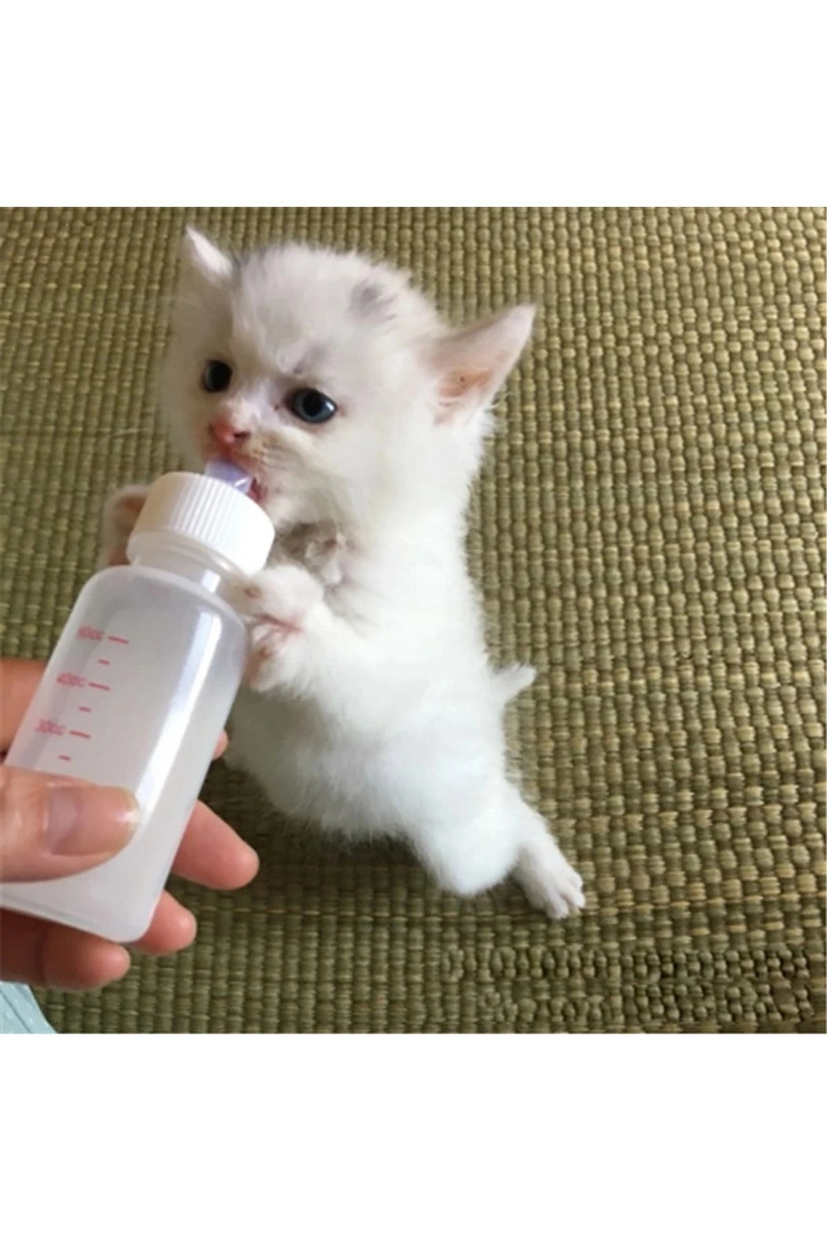 Yavru Kedi Köpek Biberonu 2 Emzikli 50 ml ( 1 Adet )