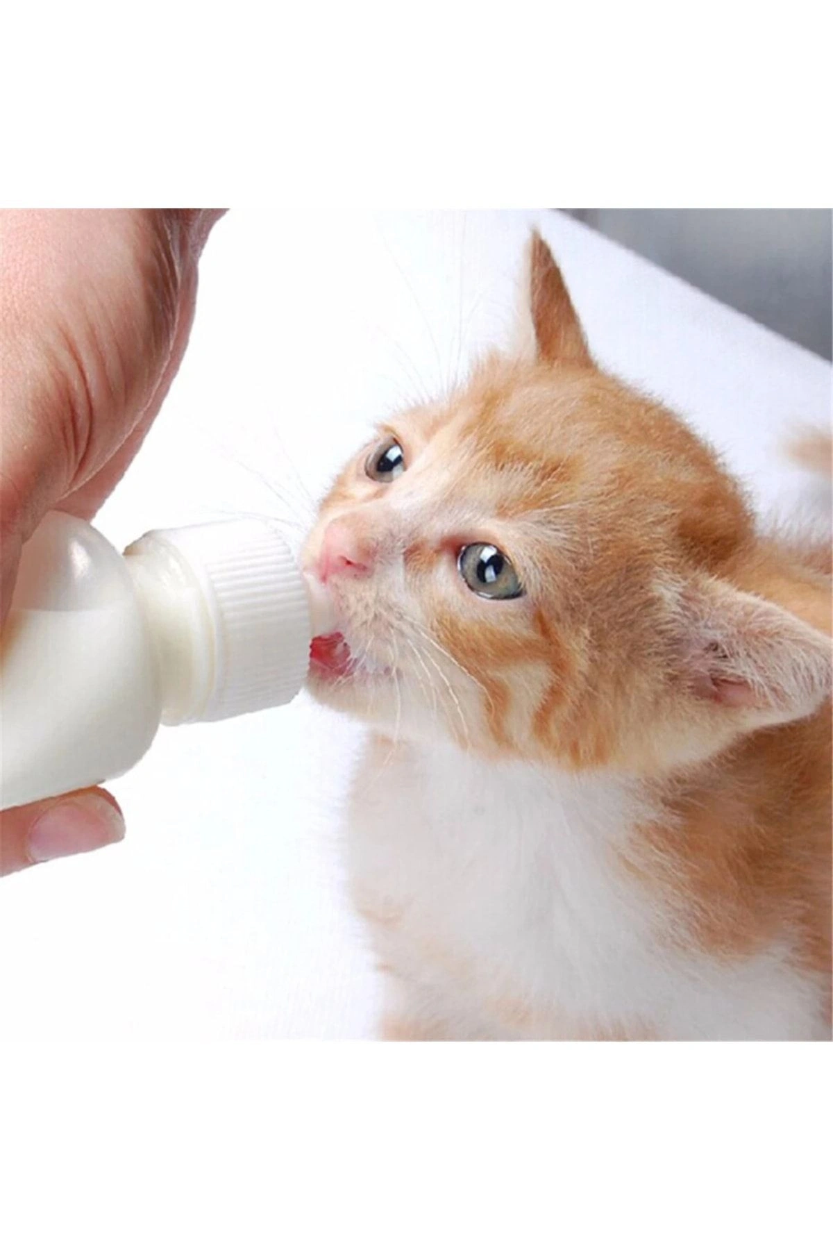 Yavru Kedi Köpek Biberonu 2 Emzikli 50 ml ( 1 Adet )