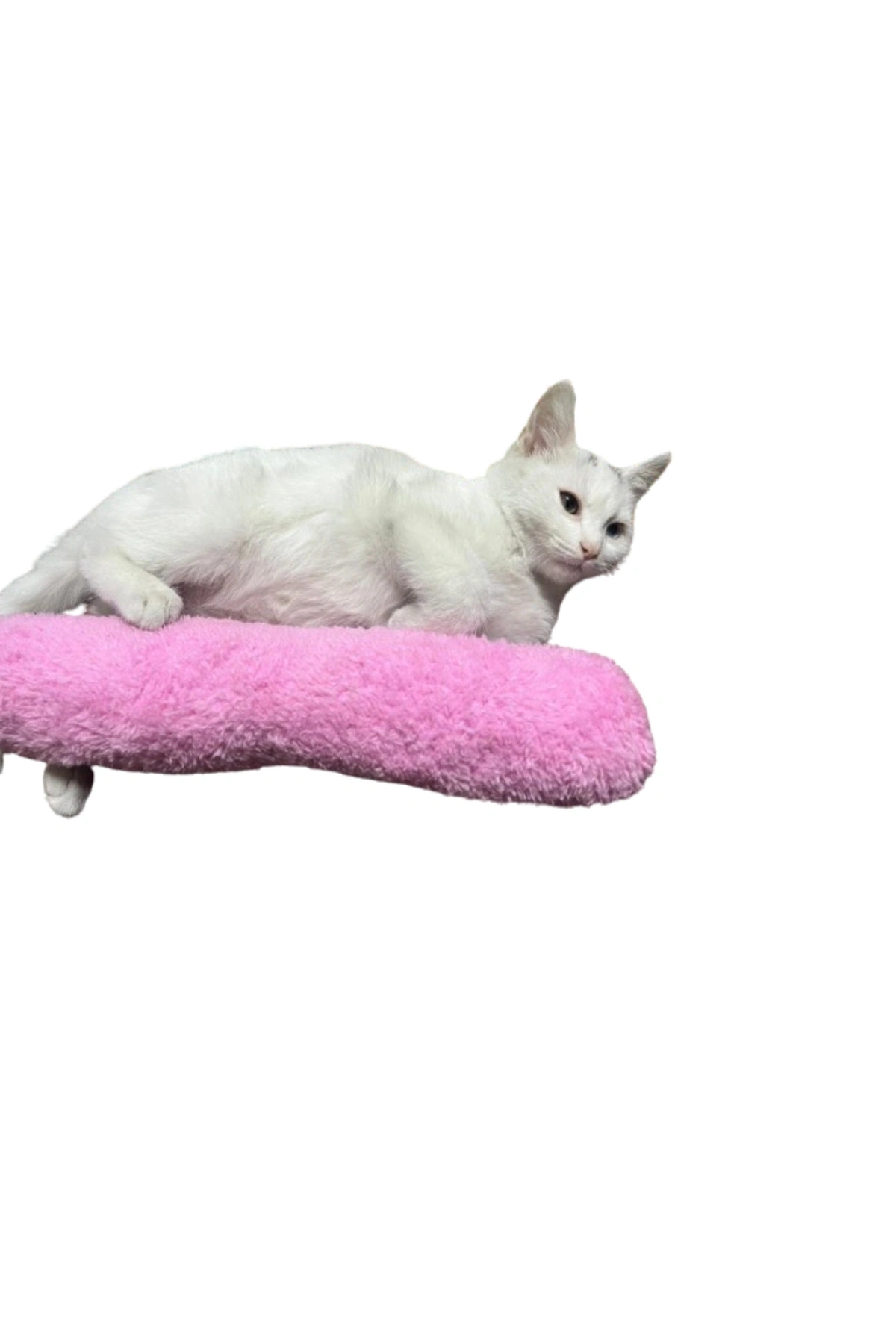 Kedi Oyuncağı Sarılma Yastığı Uyku Oyuncağı Kedi Otlu 30 Cm Peluş ( 1 Adet ) Pembe
