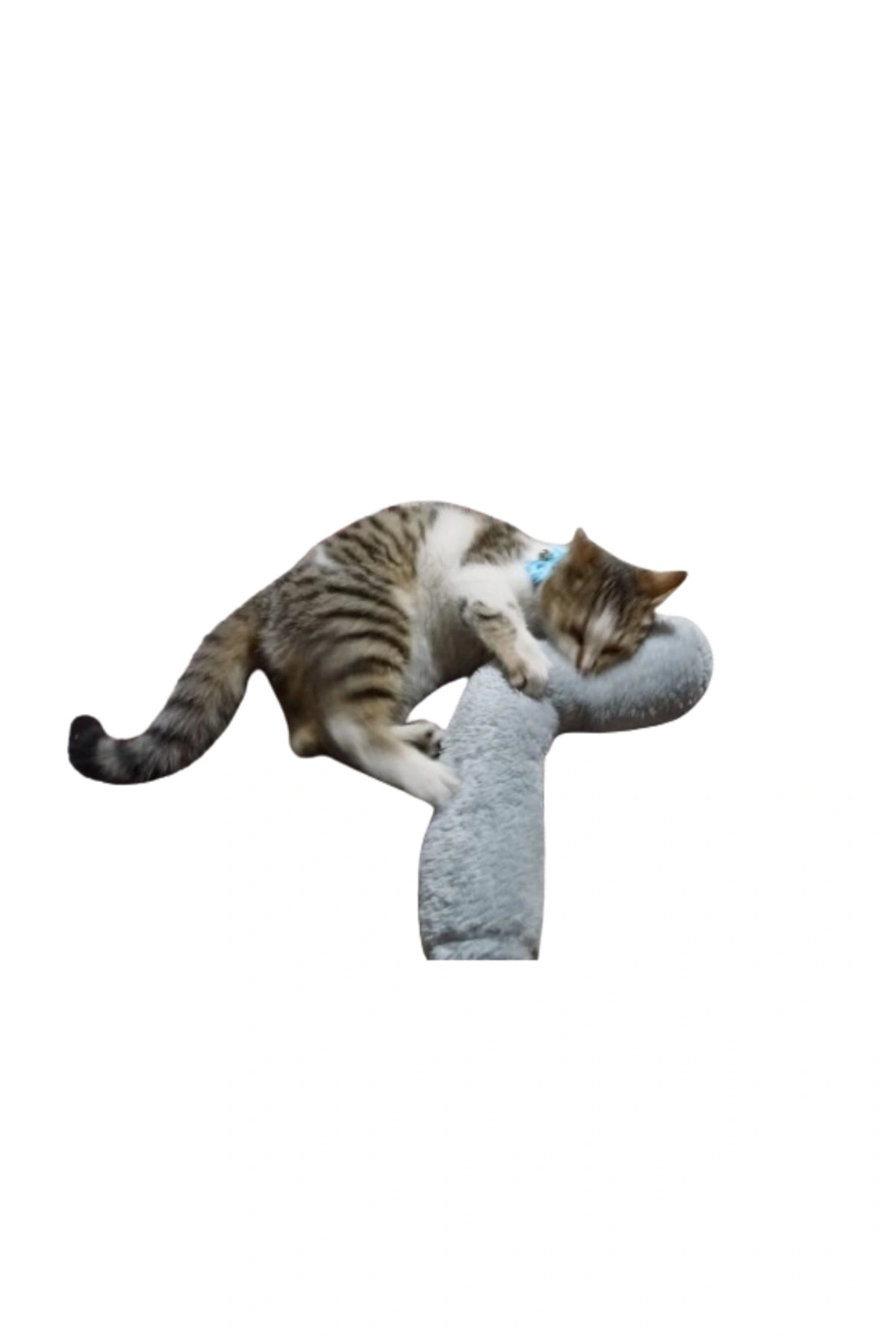 Kedi Oyuncağı Sarılma Yastığı Uyku Oyuncağı Kedi Otlu 30 Cm Peluş ( 1 Adet ) GRİ