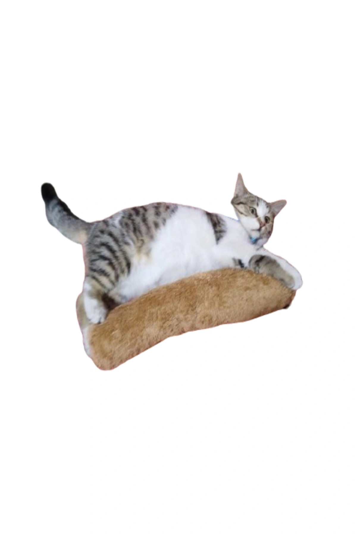 Kedi Oyuncağı Sarılma Yastığı Uyku Oyuncağı Kedi Otlu 30 Cm Peluş ( 1 Adet ) GRİ