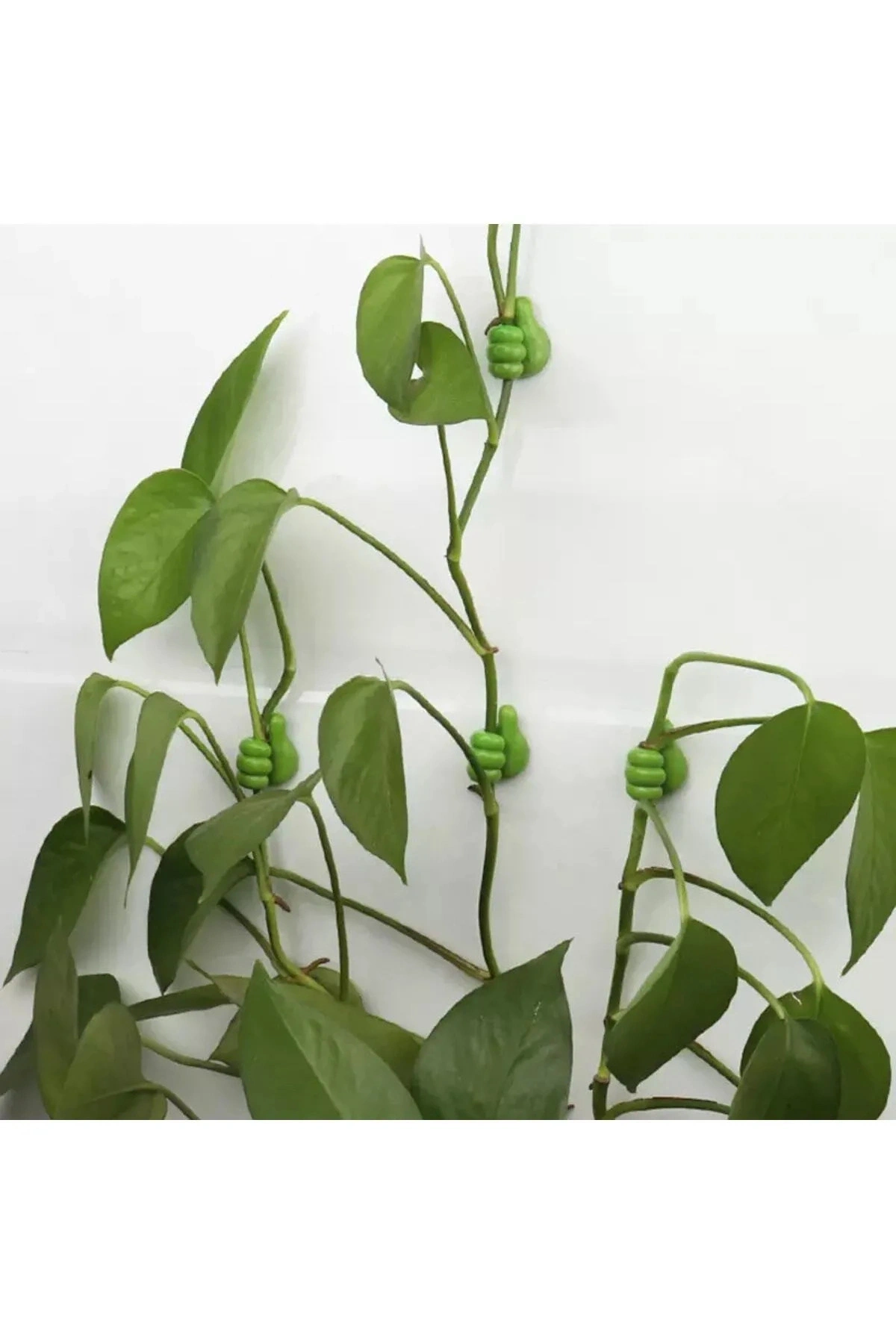 Karışık Renk Başparmak Kablo Tutucu Yapışkanlı Diş Fırçası Anahtarlık Bitki Dal Tutucu Askı 10 Adet