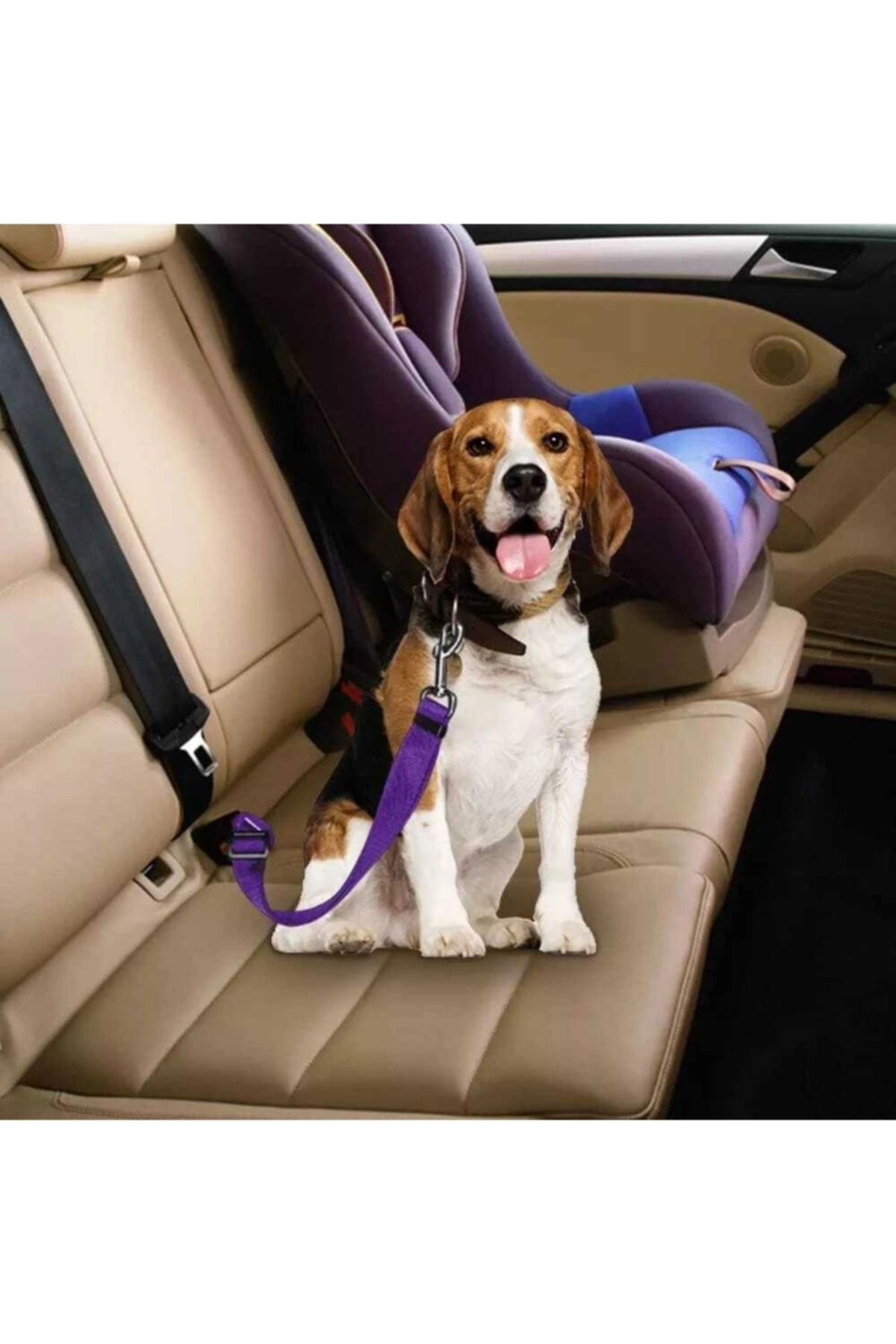 Evcil Hayvan Araç Emniyet Kemeri Kedi Köpek Araba Oto Tasması Oto Aksesuarları Mor