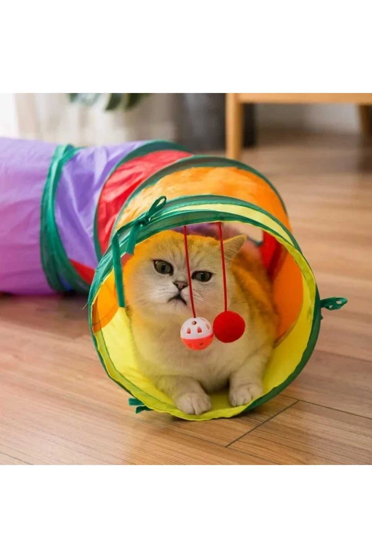 Kıvrımlı Kedi Tüneli Katlanır Gökkuşağı Uzun Kedi Köpek Oyun Tüneli Evcil Hayvan Oyun Tüneli