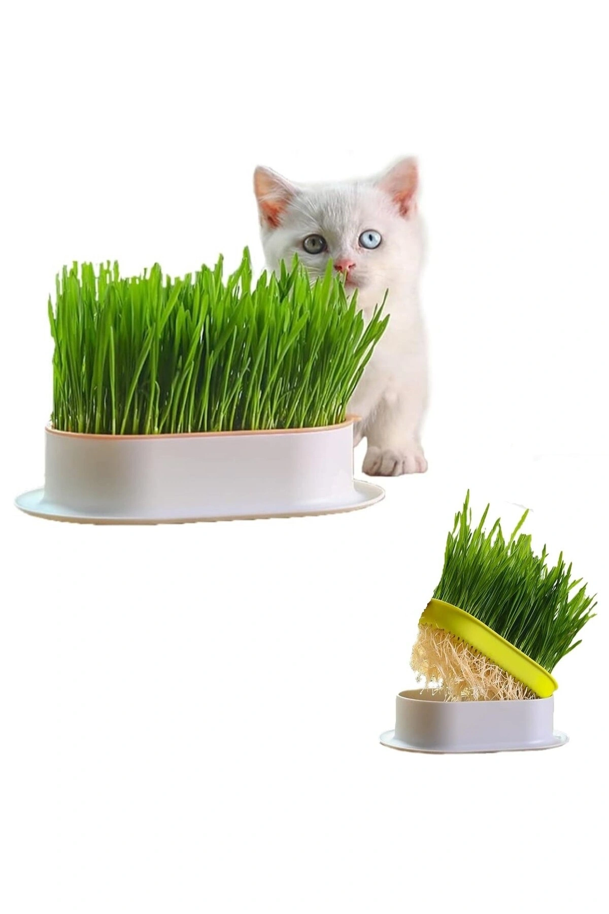 Özel Plastik Kâseli %100 Doğal Fileli Kedi Çimi (tüy Yumağı Önleyici)