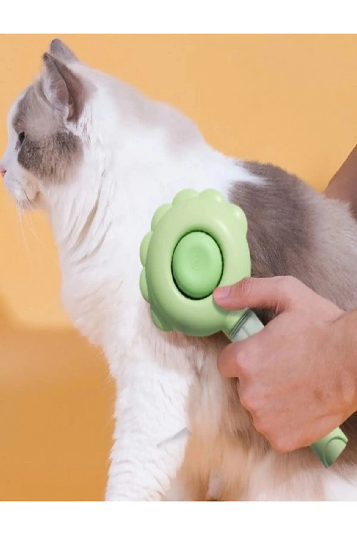 Basmalı Telli Su Sprey Hazneli Hayvan Kedi Köpek Fırçası Çift 2in 1