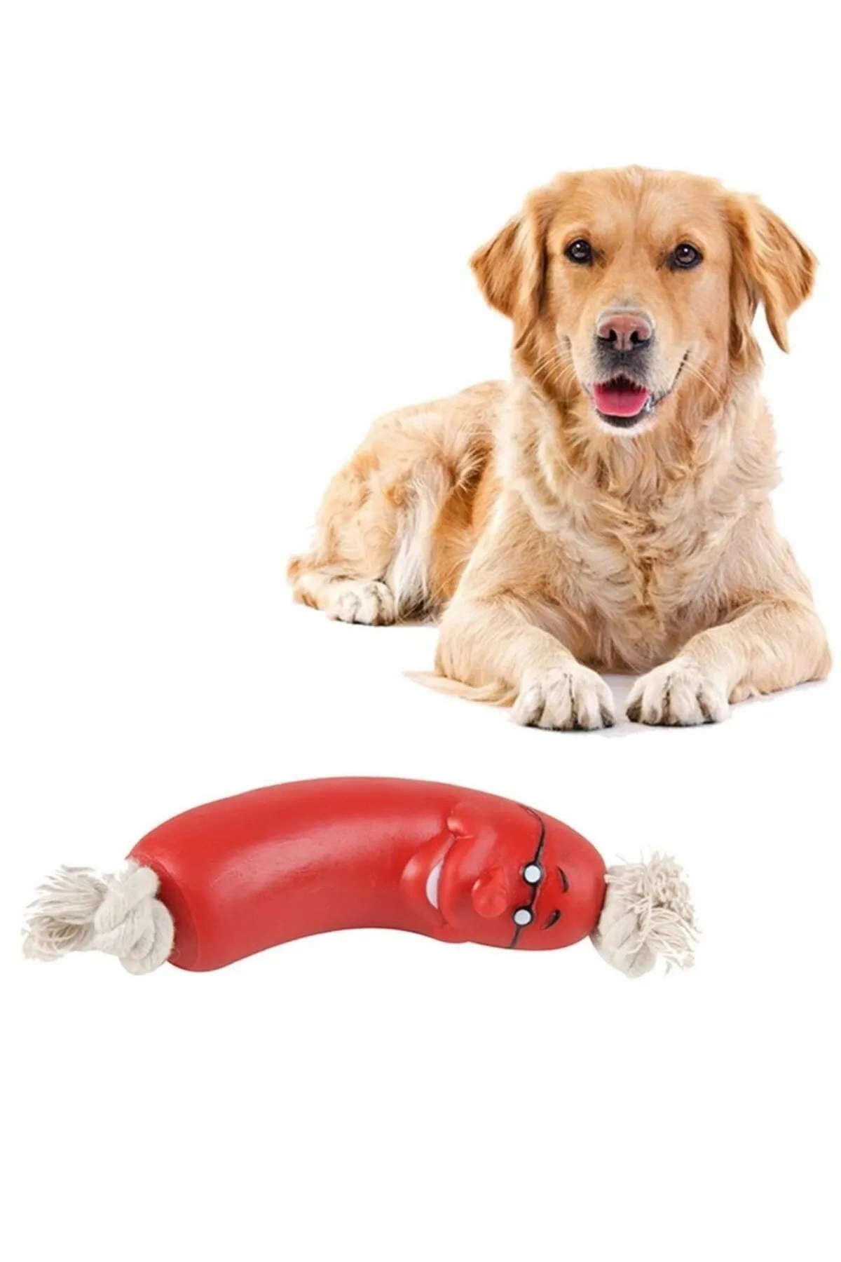 Sosis Köpekler İçin Oyuncak Köpek Oyuncağı