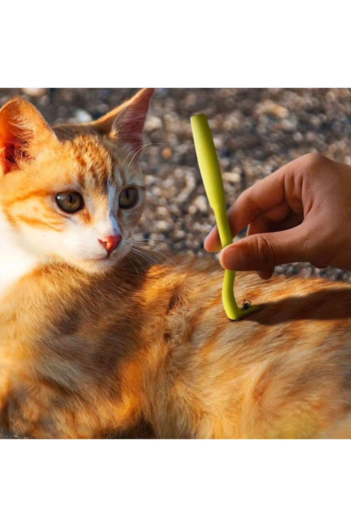 Evcil Hayvanlar İçin Etkili ve Kolay Kullanım Sunan 2 Adet Kene Çıkarıcı Kanca