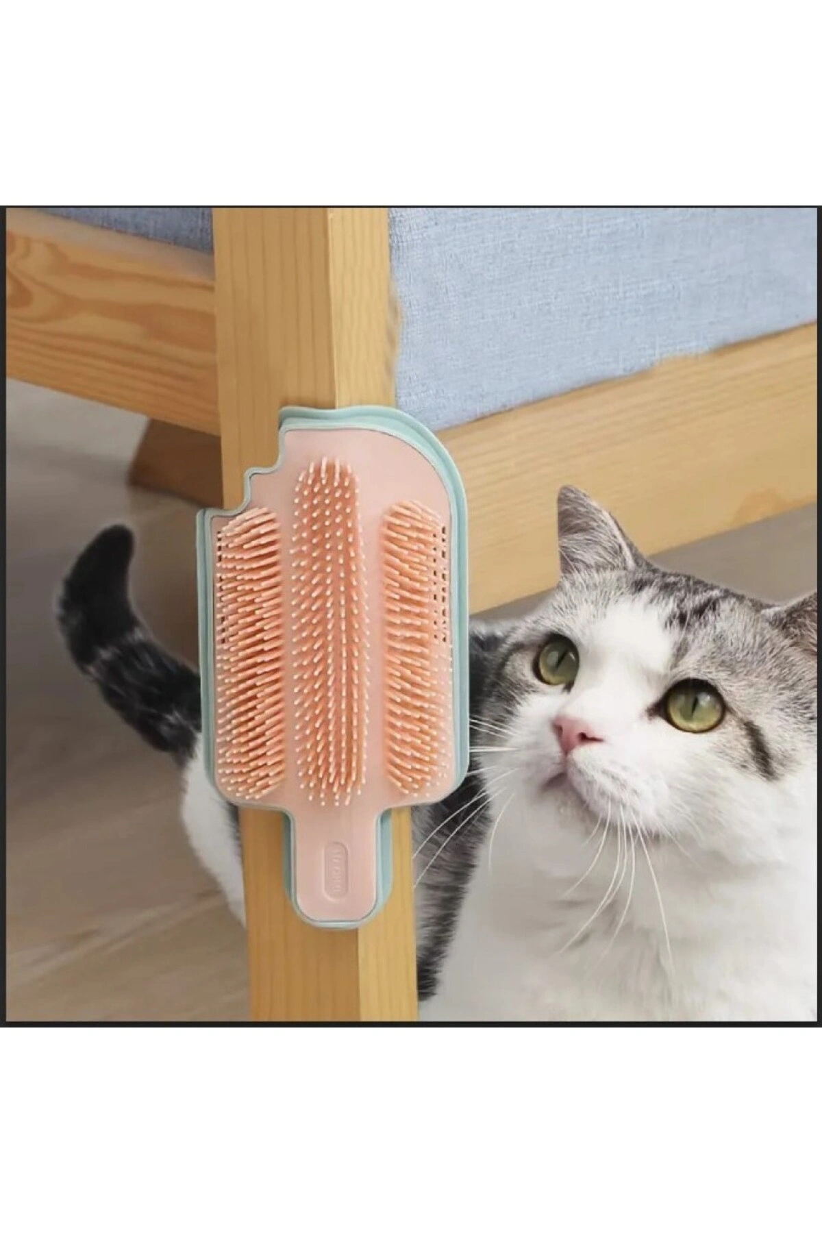 Dondurma Şeklinde Taranma Ve Kaşınma Aparatı