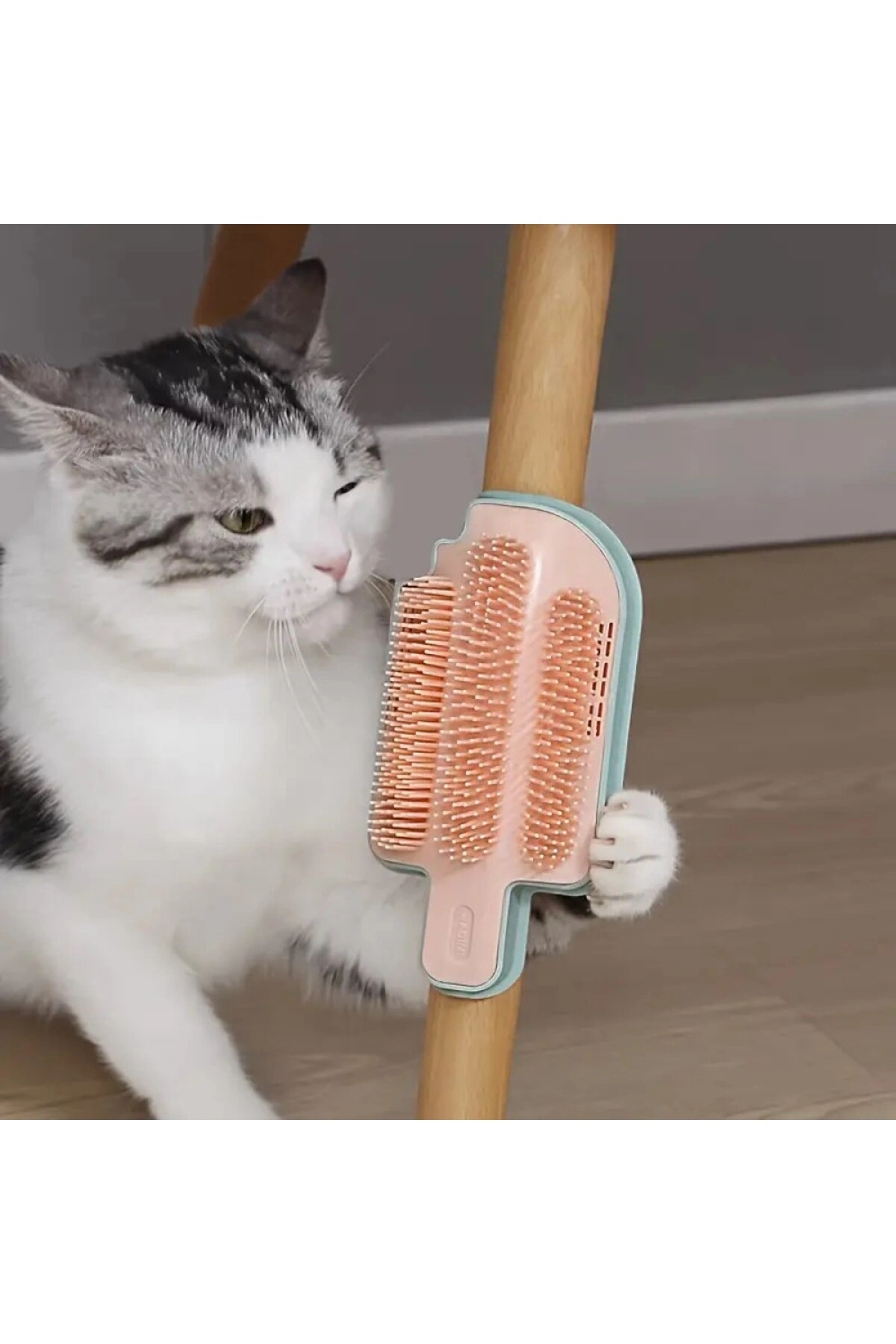 Dondurma Şeklinde Taranma Ve Kaşınma Aparatı