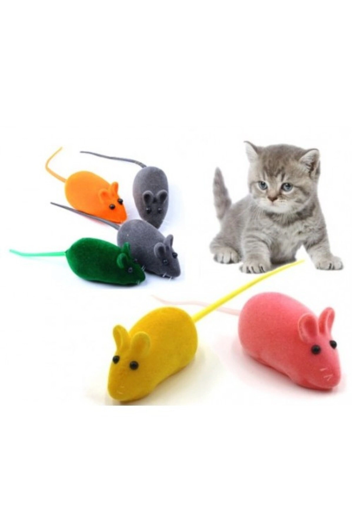 4 Adet Kedi Eğitim Oyun Faresi Sesli