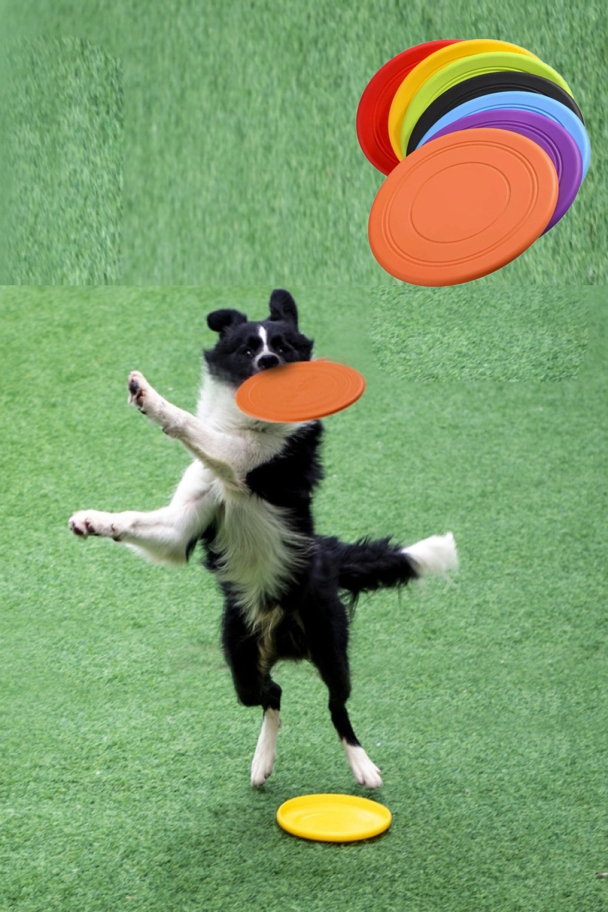 Dayanıklı Silikon Frizbi Köpek Oyuncağ Esnek ve Güvenli Yakalama Oyunu Diski 17.5 cm 1 ADET