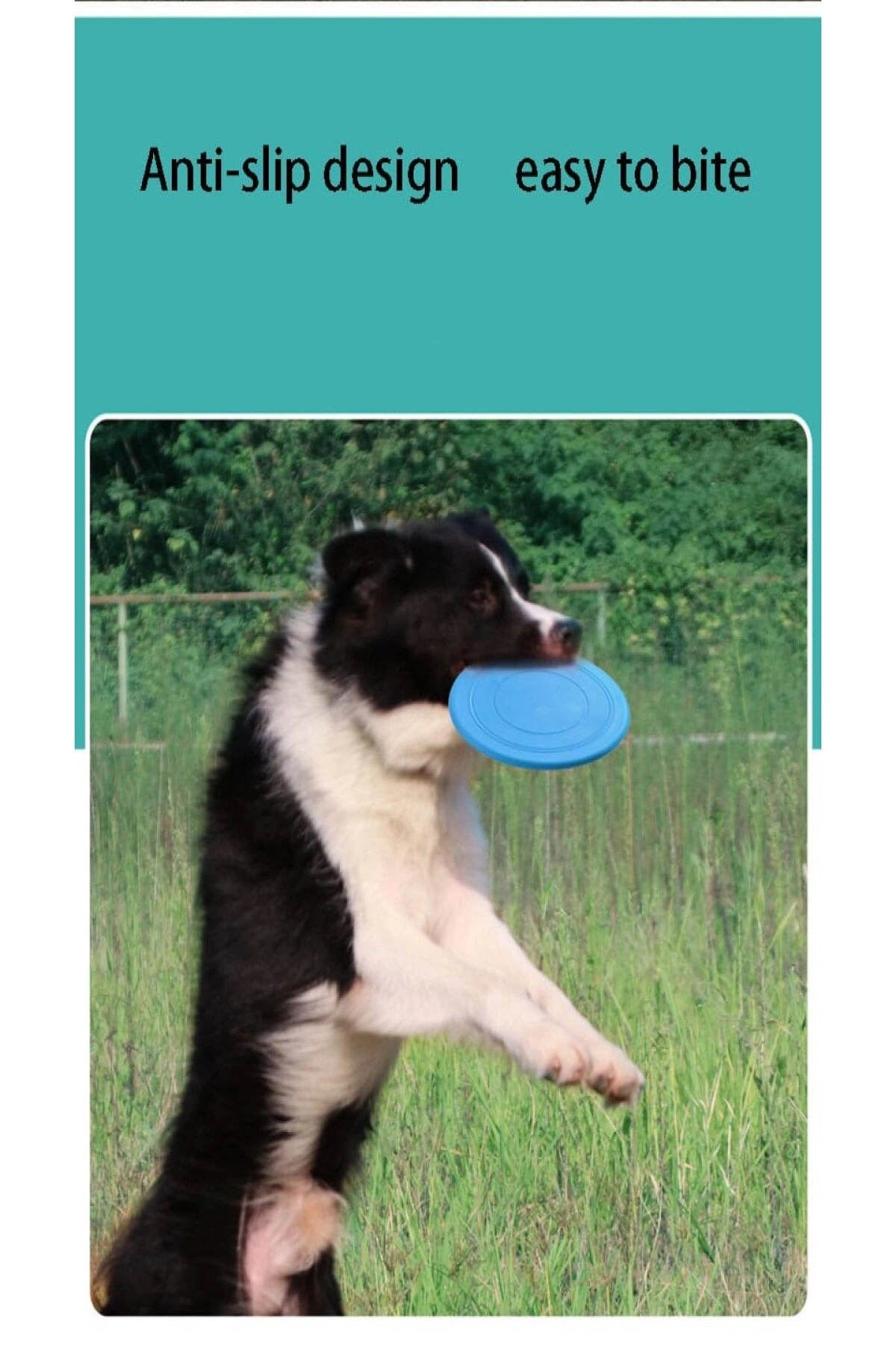 Dayanıklı Silikon Frizbi Köpek Oyuncağ Esnek ve Güvenli Yakalama Oyunu Diski 17.5 cm 1 ADET