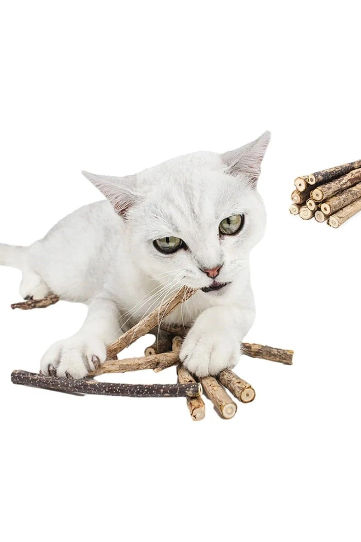 Doğal Matatabi Kedi Çiğneme Çubuğu 5 Adet 10 mm