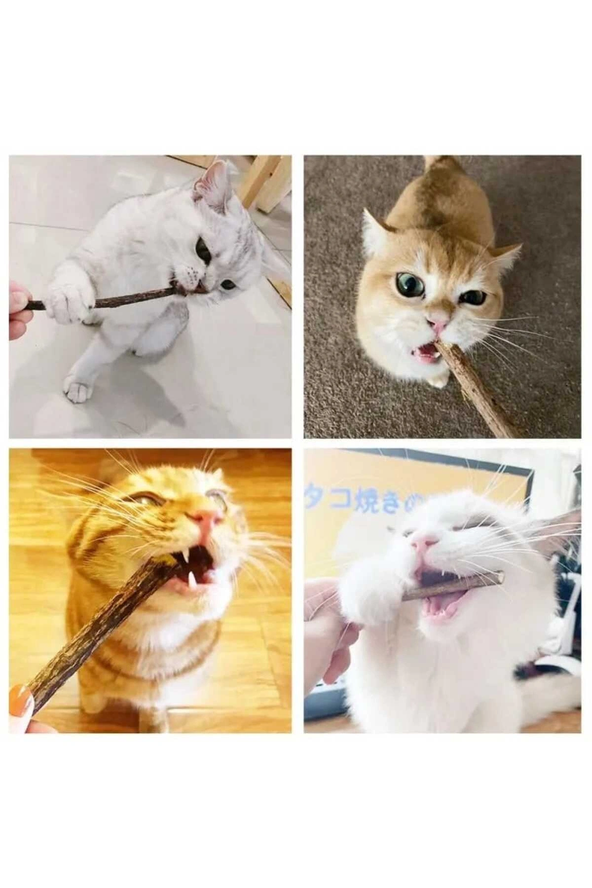 Doğal Matatabi Kedi Çiğneme Çubuğu 10 Adet 15 mm Kalın