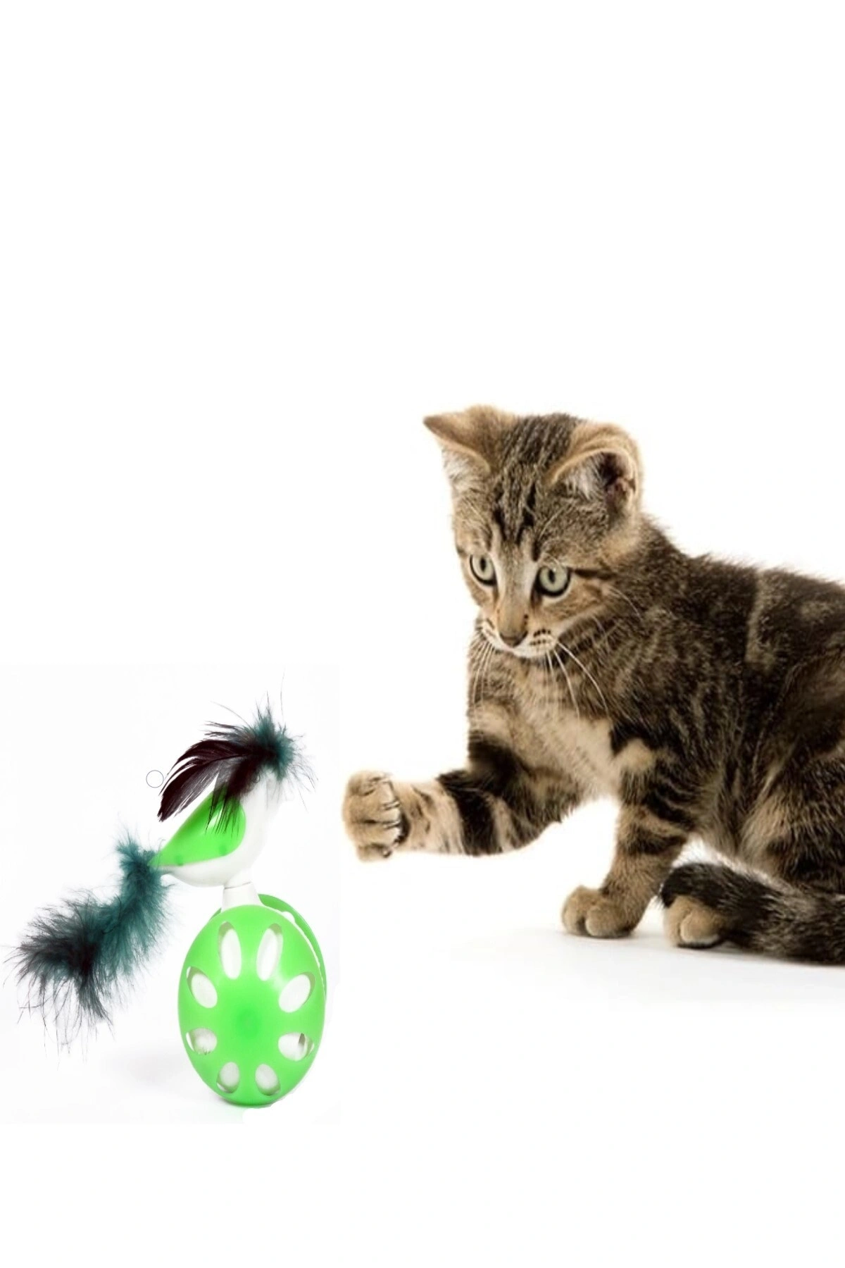 TEKERLEKLİ HACIYATMAZ KUŞ KEDİ OYUNCAĞI YEŞİL 1 ADET