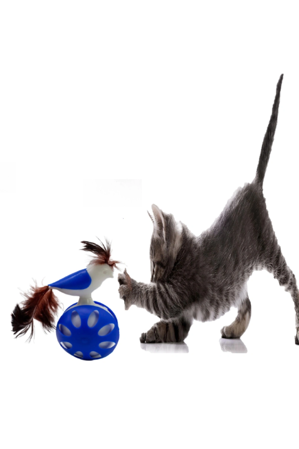 TEKERLEKLİ HACIYATMAZ KUŞ KEDİ OYUNCAĞI MAVİ 1 ADET