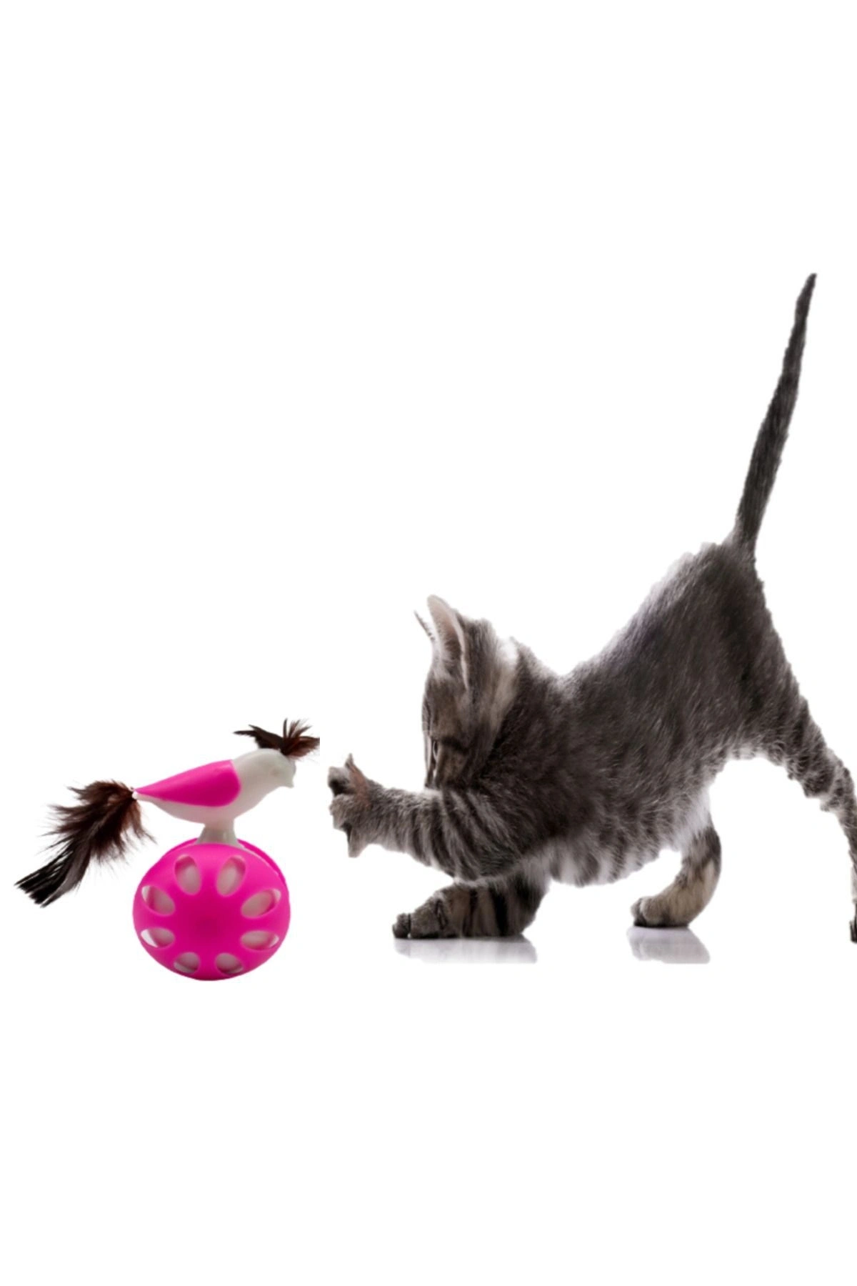 TEKERLEKLİ HACIYATMAZ KUŞ KEDİ OYUNCAĞI PEMBE 1 ADET