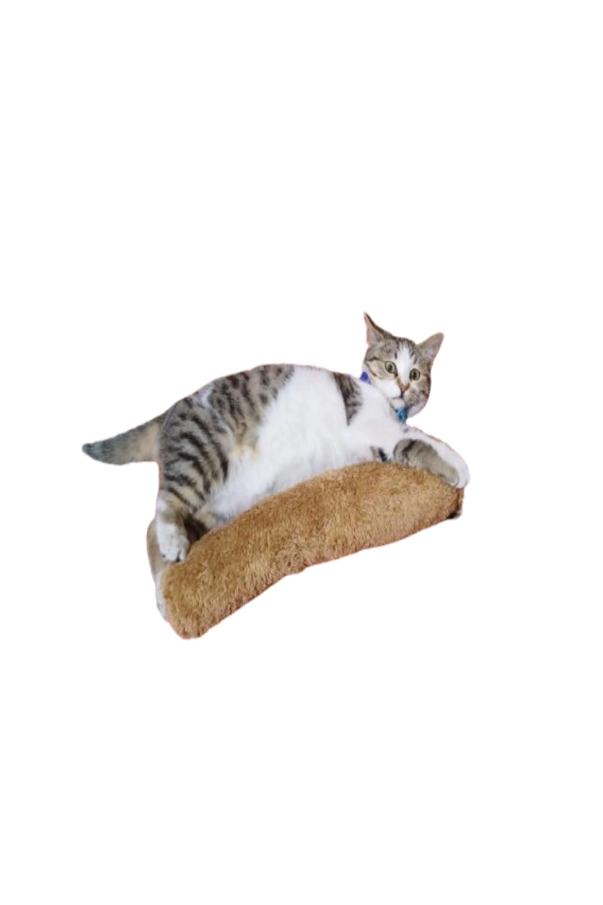 Kedi Oyuncağı Sarılma Yastığı Uyku Oyuncağı Kedi Otlu 30 Cm Peluş ( 1 Adet ) Kahverengi