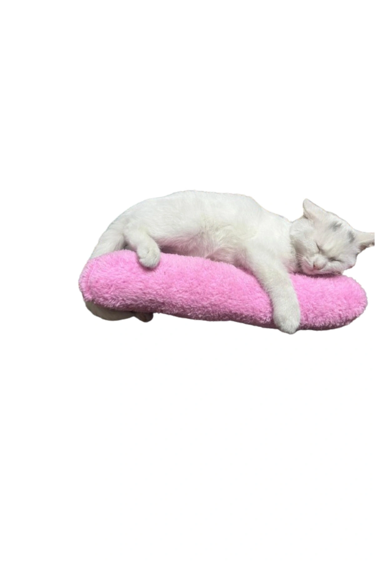 Kedi Oyuncağı Sarılma Yastığı Uyku Oyuncağı Kedi Otlu 30 Cm Peluş ( 1 Adet ) Pembe