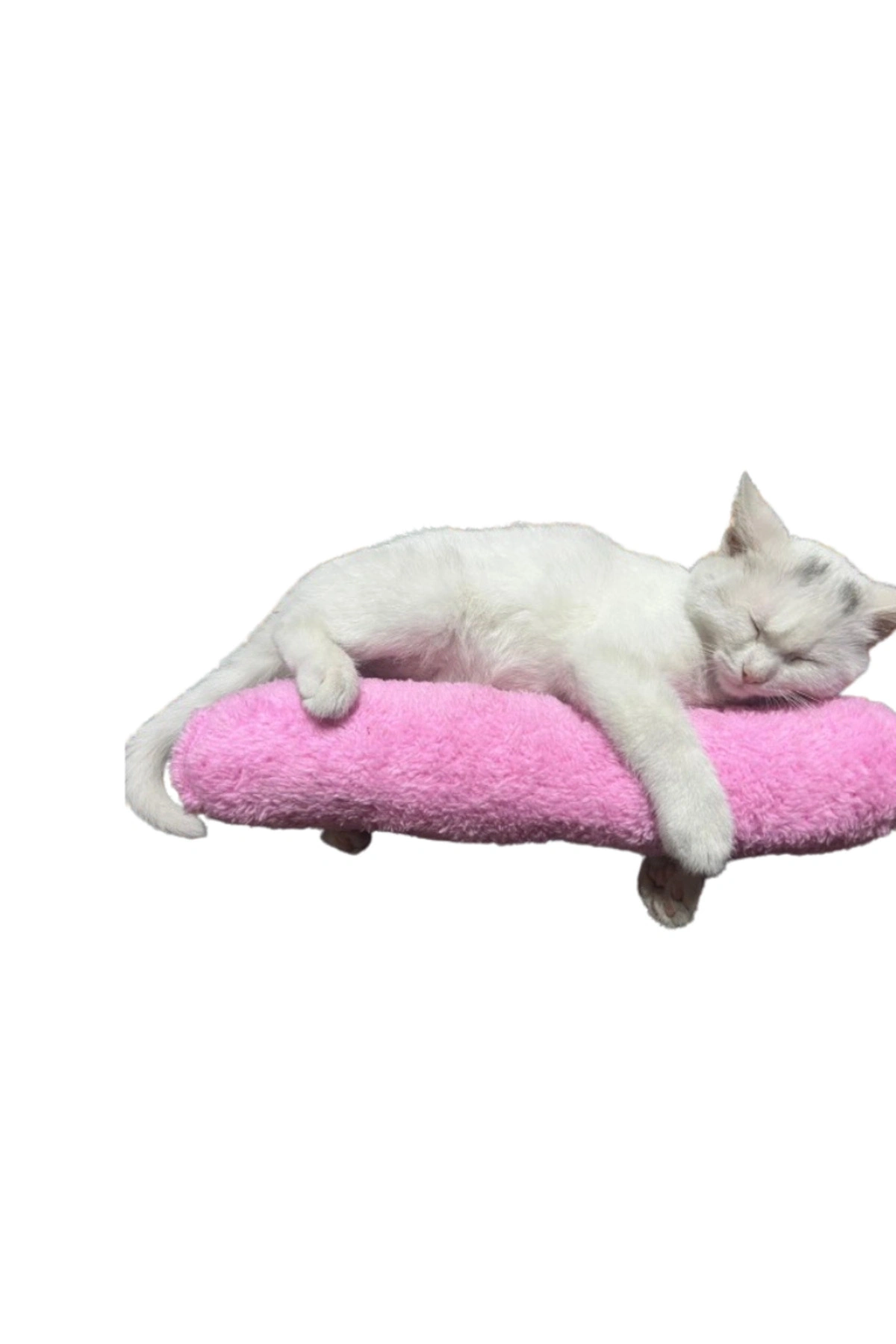 Kedi Oyuncağı Sarılma Yastığı Uyku Oyuncağı Kedi Otlu 30 Cm Peluş ( 1 Adet ) Pembe