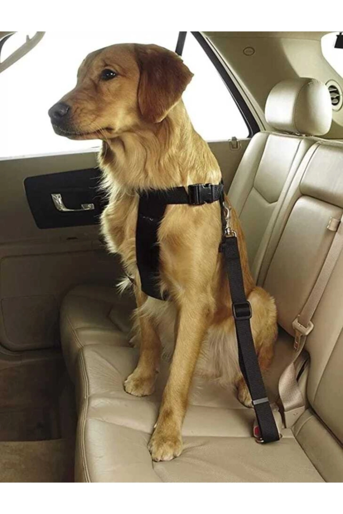 Evcil Hayvan Araç Emniyet Kemeri Kedi Köpek Araba Oto Tasması Oto Aksesuarları Siyah