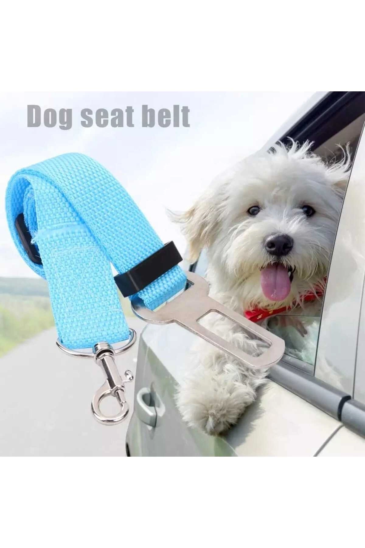 Evcil Hayvan Araç Emniyet Kemeri Kedi Köpek Araba Oto Tasması Oto Aksesuarları MAVİ