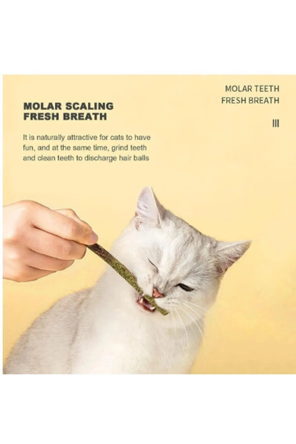 6 Adet Doğal Meyve Aromalı Matatabi Çubuğu Catnip Stick Kedi Catnip Dalı Cat Mint Stick