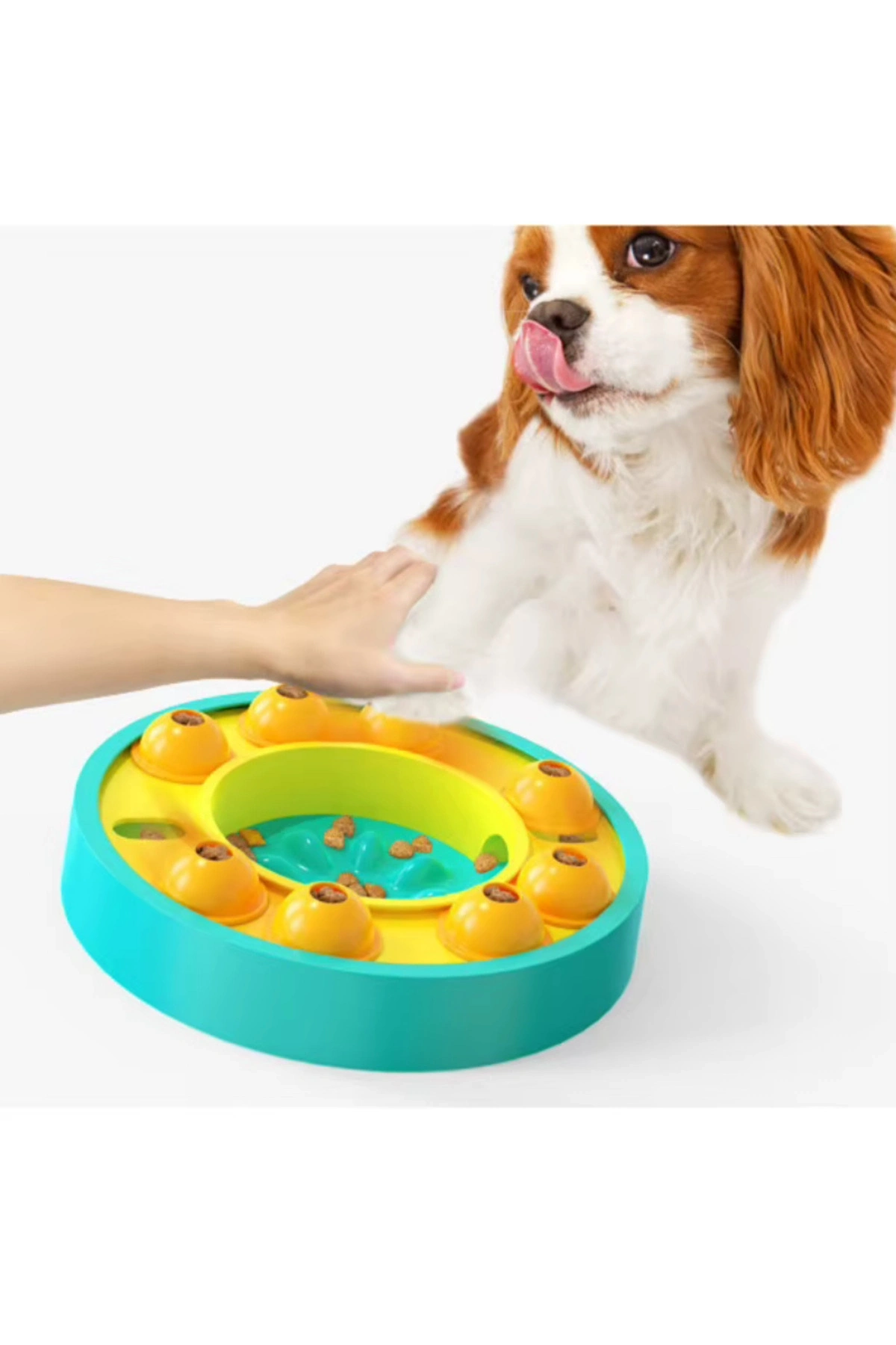 Köpek Ve Kedi Için Zeka Geliştirici Yavaş Besleme Oyuncağı – Eğlenceli Ve Sağlıklı Beslenme Turkuaz