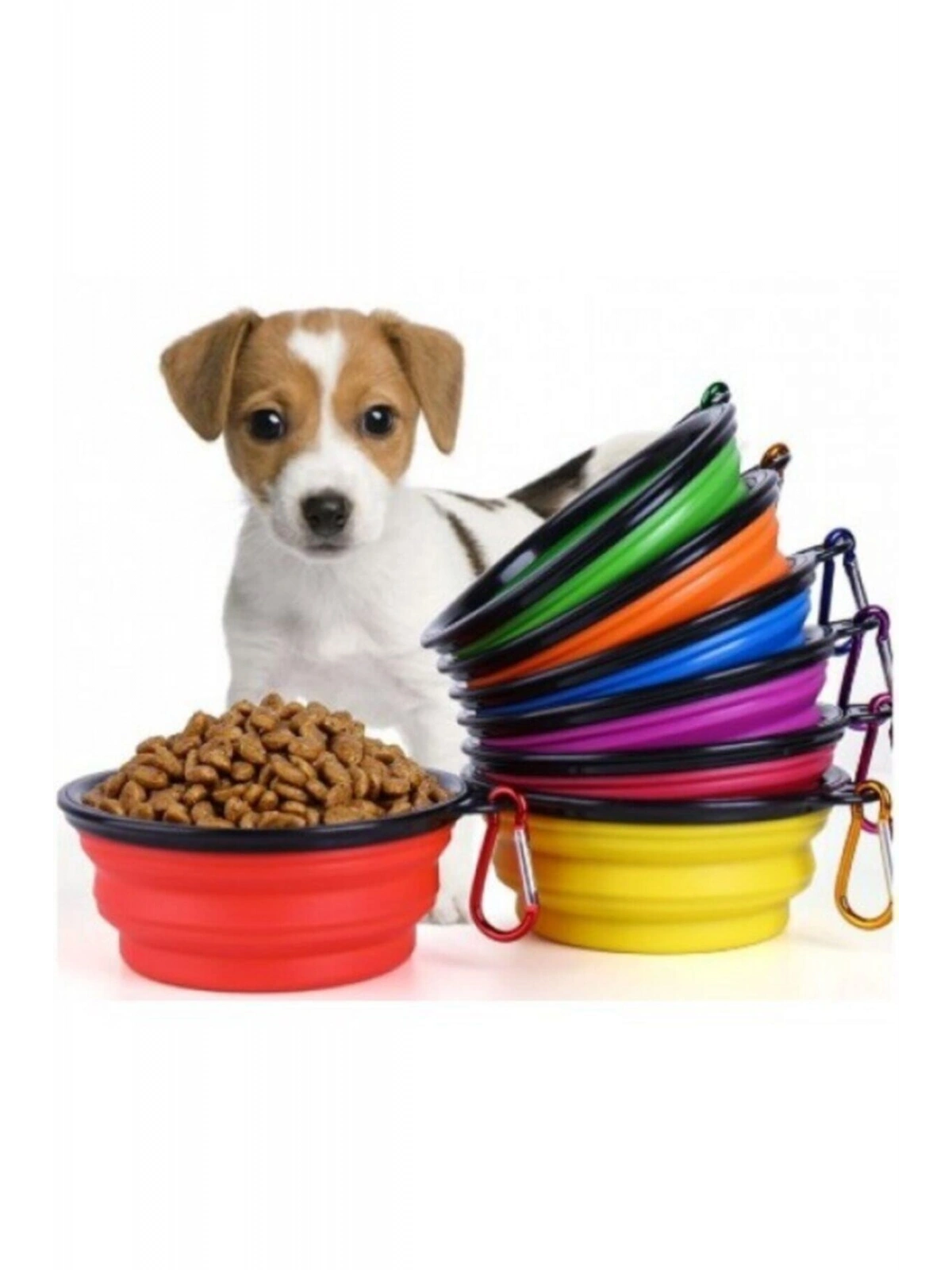 Katlanabilir Kedi Köpek Mama Ve Su Kabı