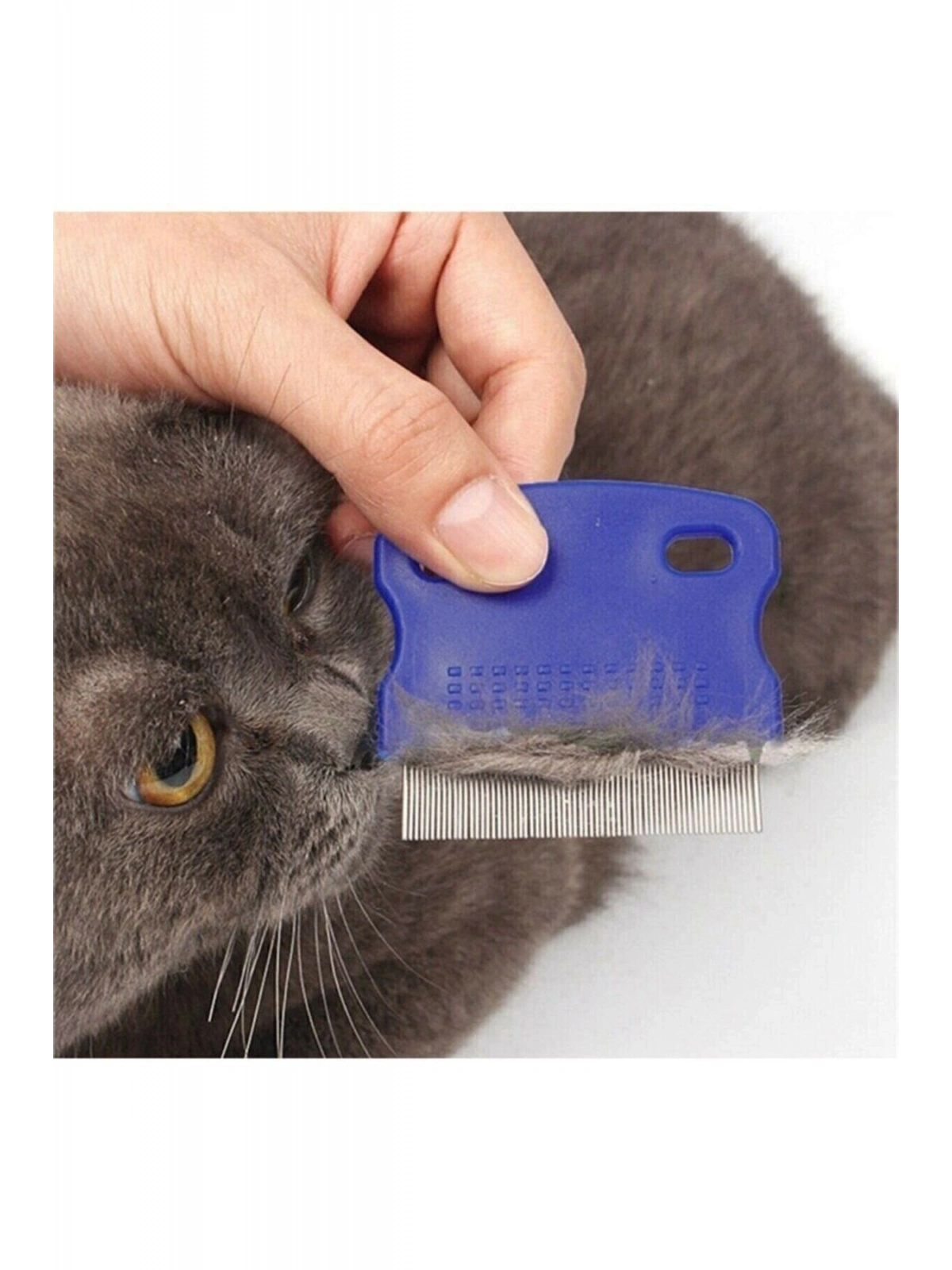 Kedi Köpek Bit ve Pire Tarağı 1 Adet