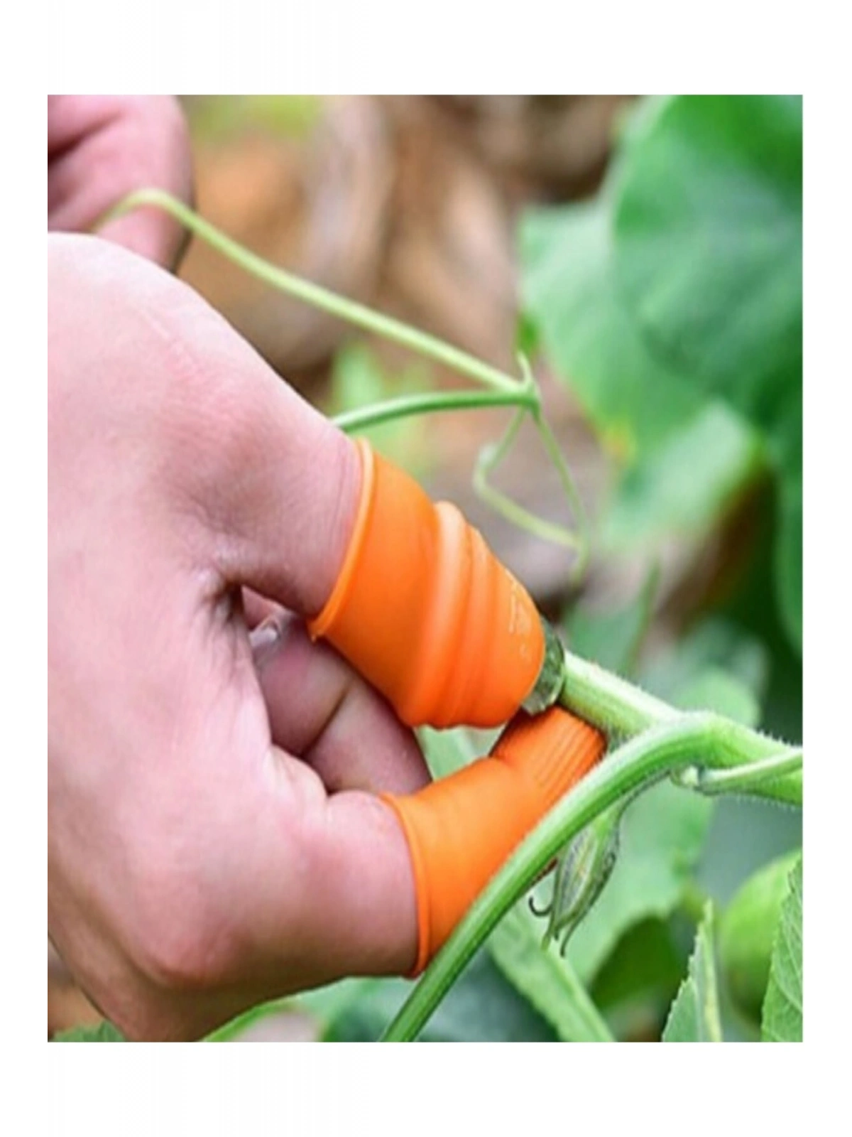 Silikon Parmak Koruyucu Sebze Meyve Toplama Aracı Bahçe Kesme Bıçak Eldiven L